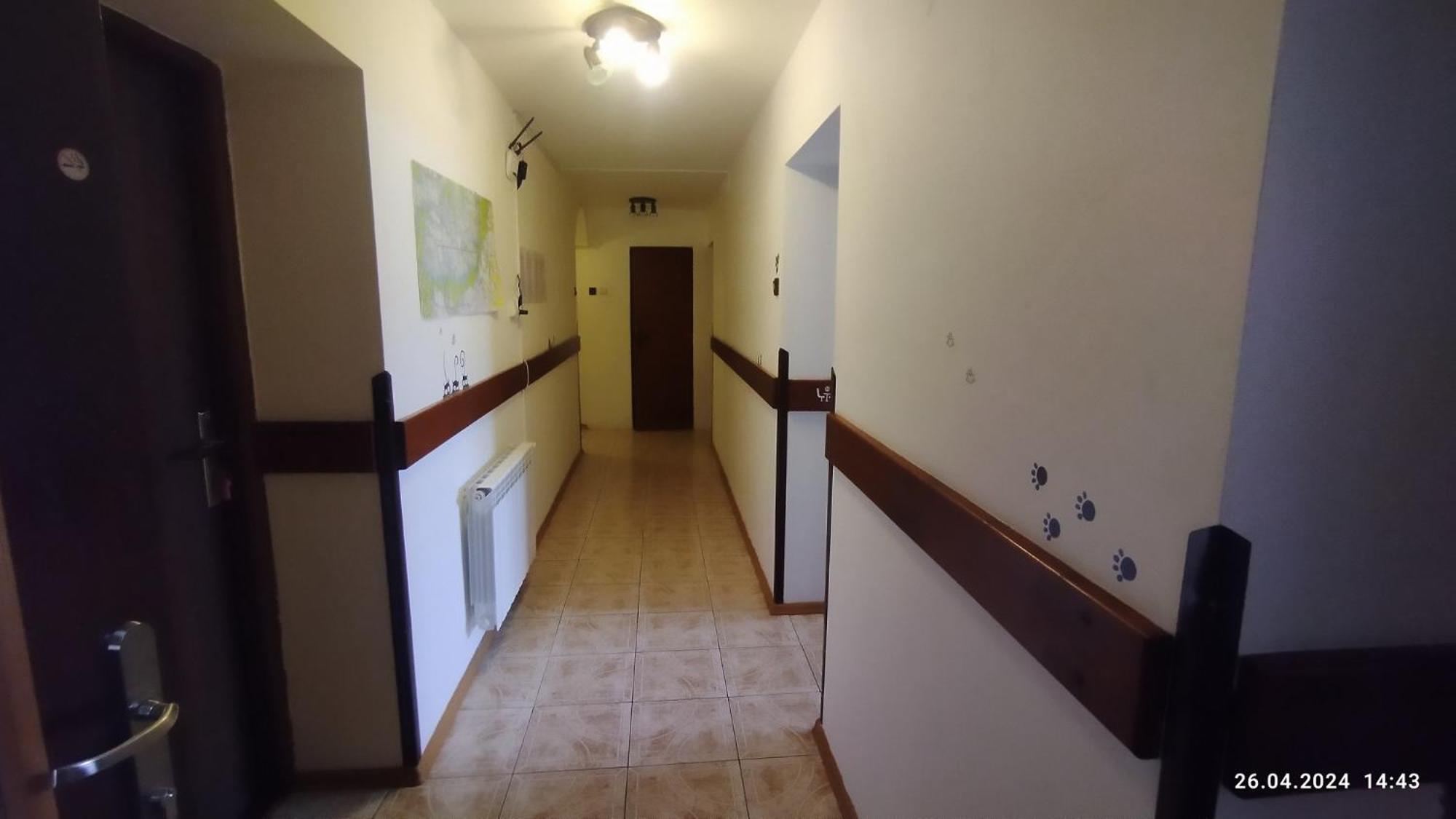 Lucky Cat Hotel Nova Lesna Room photo